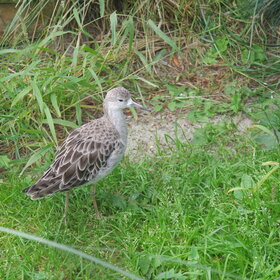 �����-�����������