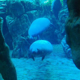 ����������