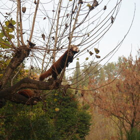 �� ������