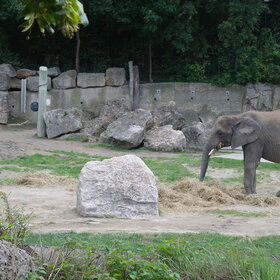 �� �������